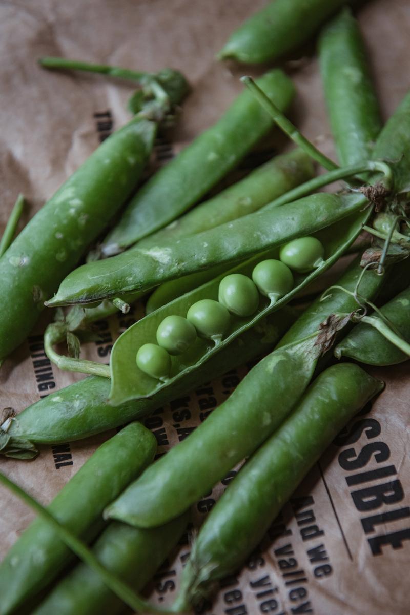 蔬菜名称大全有哪些(蔬菜大全) 蔬菜名称大全有哪些(蔬菜大全)